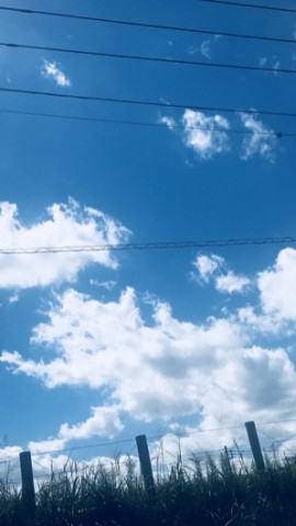 今日もいい天気♪