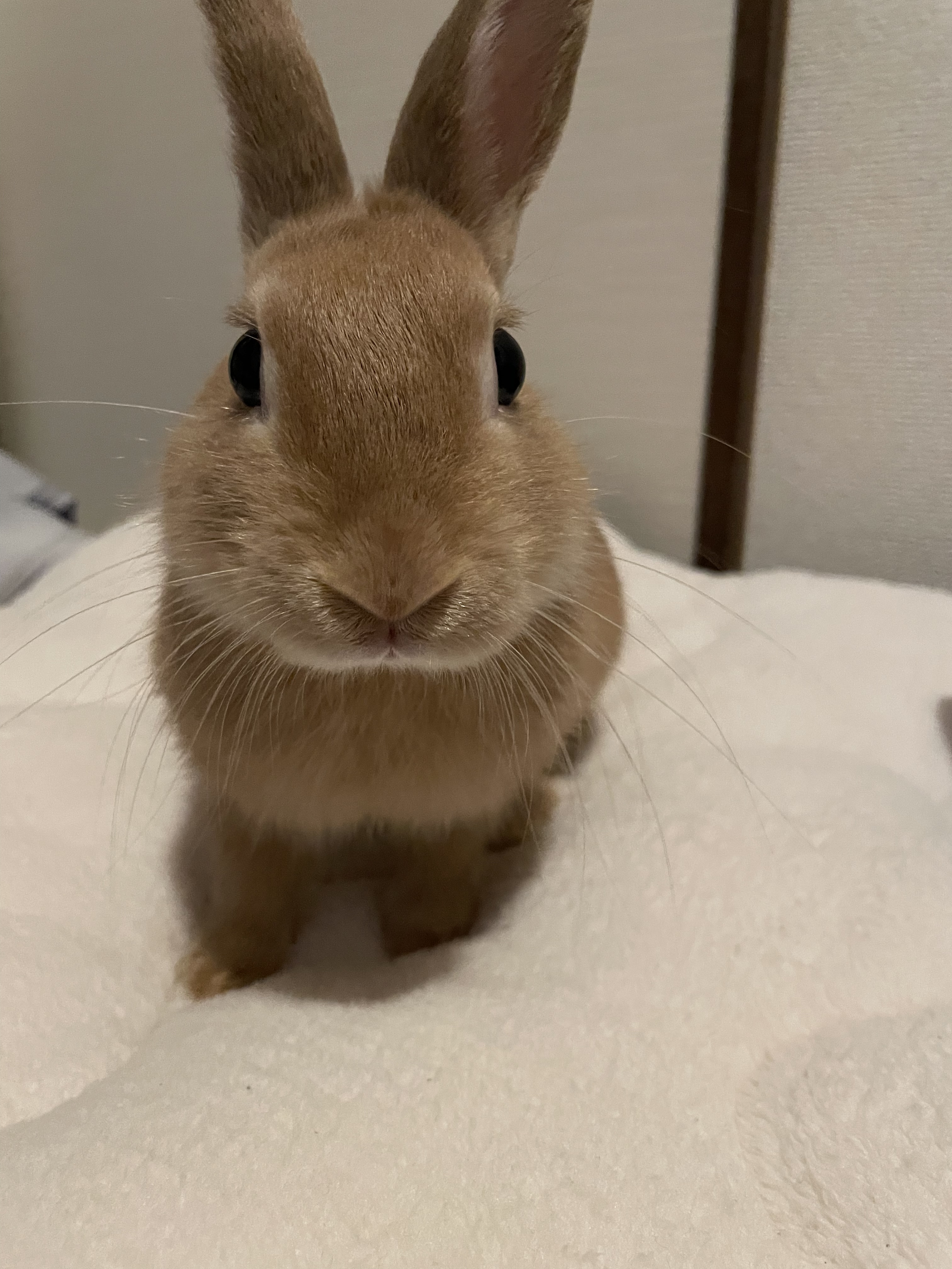 お久しぶりです