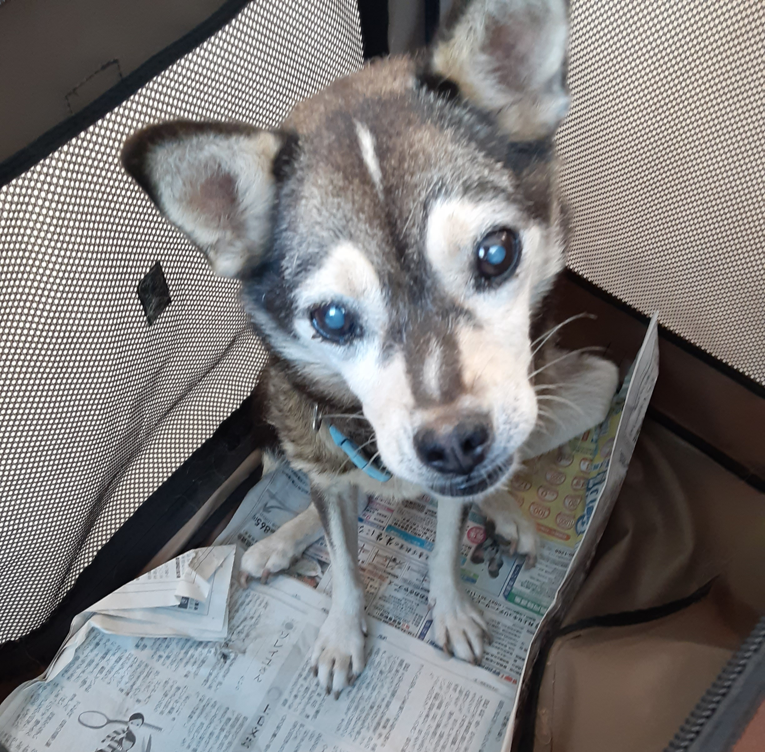 可愛さはキープしてます！