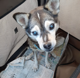 しきちゃんの2021/9/23 (木) 14:41のブログ