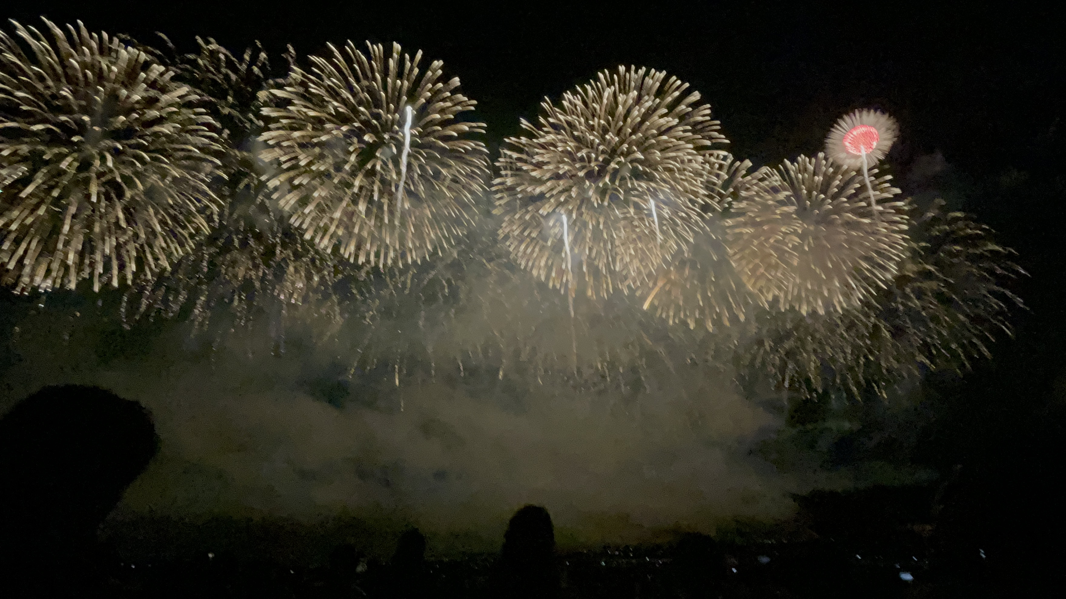 かなちゃんの2023/12/19 (火) 01:04のブログ