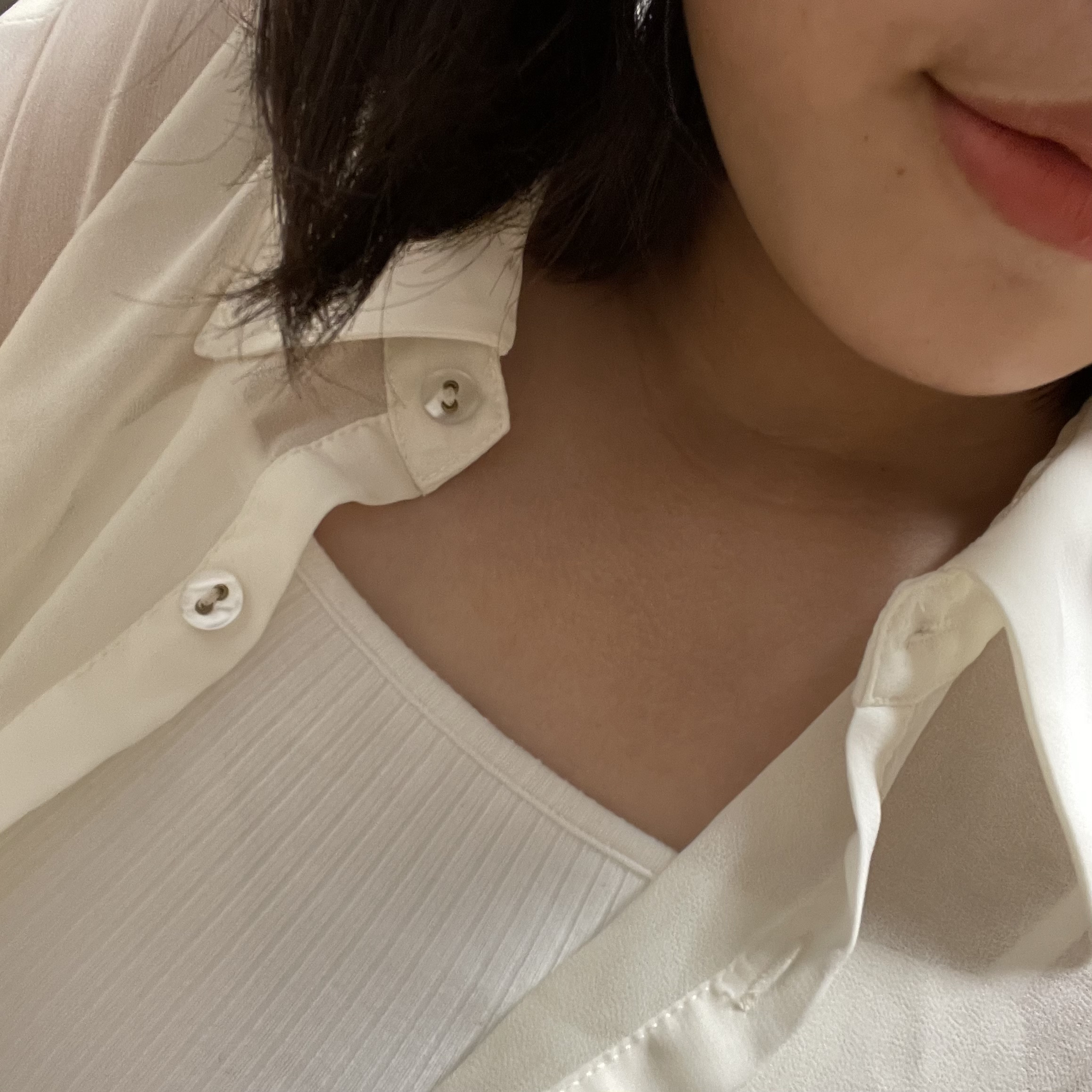 今日の服