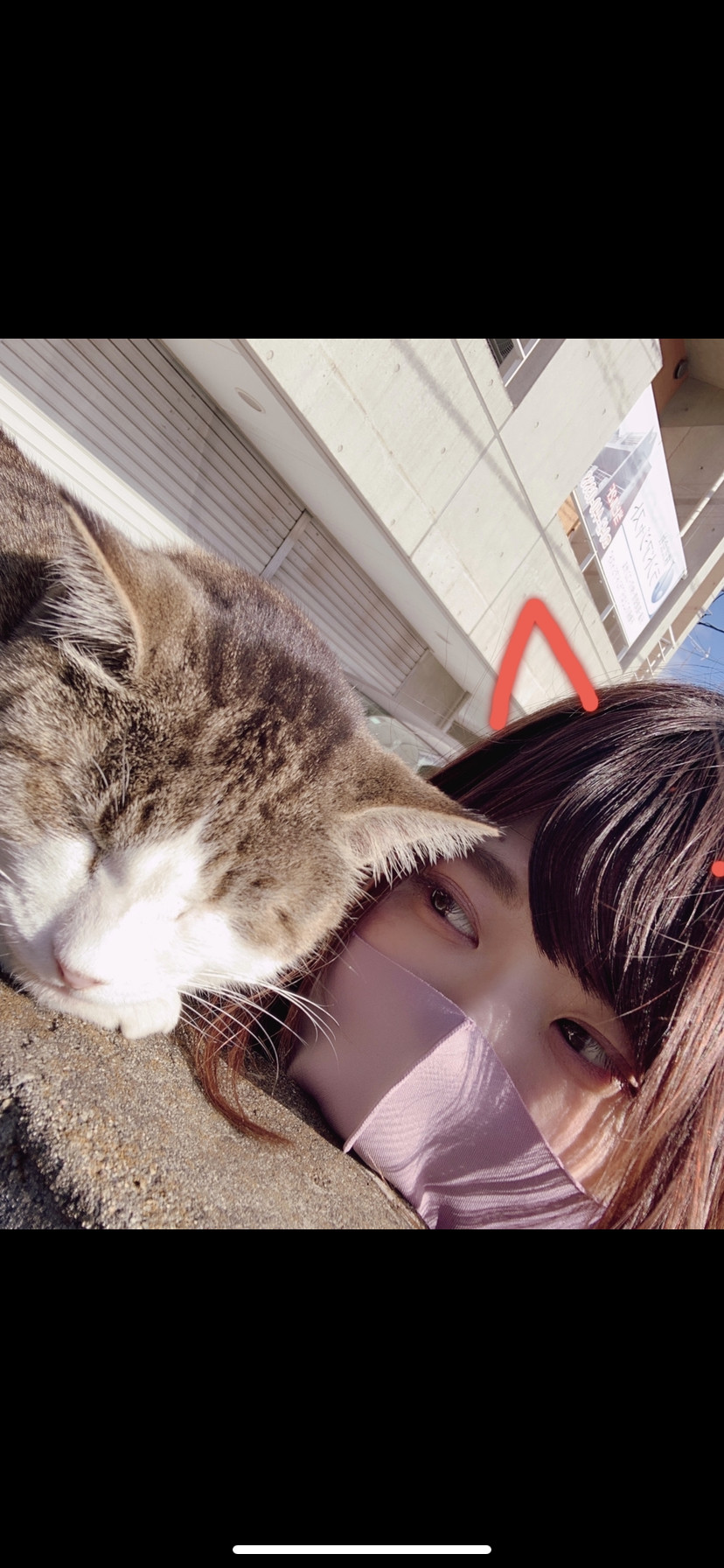 声優さんは好きですか？実はのんちゃん、、