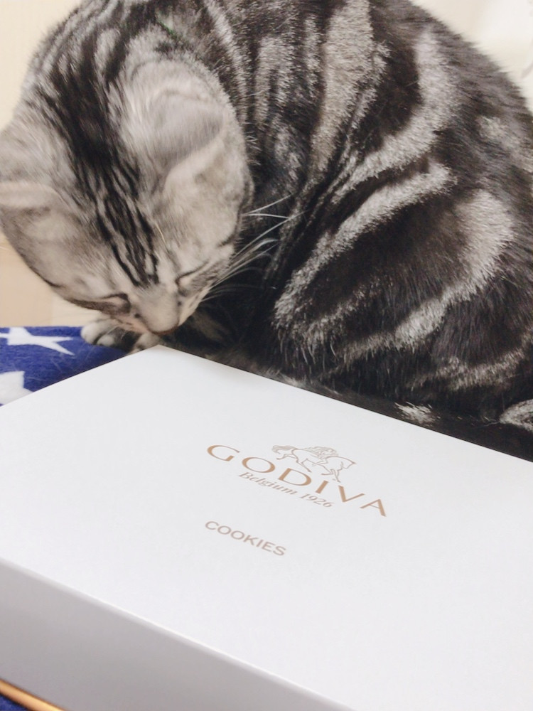 GODIVAのチョコ！
