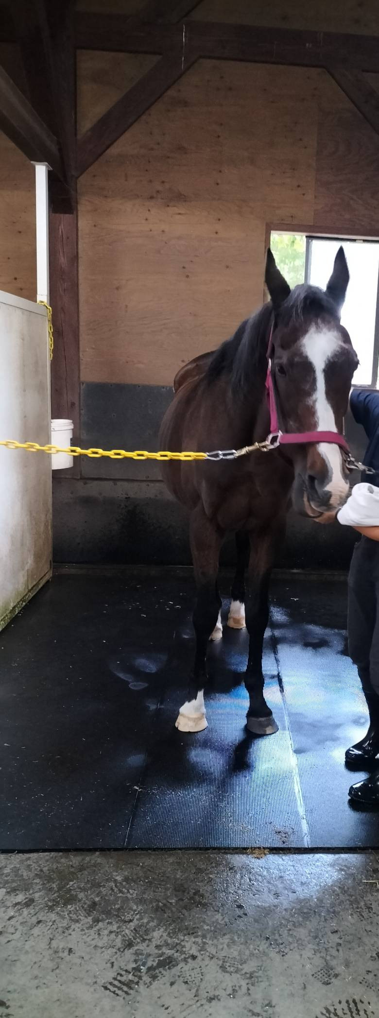 読んで…く…読んで下さい！！