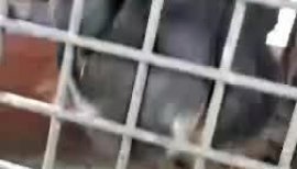 ＊☆るき☆＊ちゃんの6/10 (火) 16:21のブログ