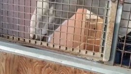 生きてます、報告あります