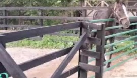 ＊☆るき☆＊ちゃんの10/3 (金) 18:23のブログ