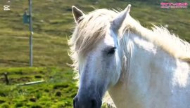 11月1日2日自主企画＆観戦パーティー