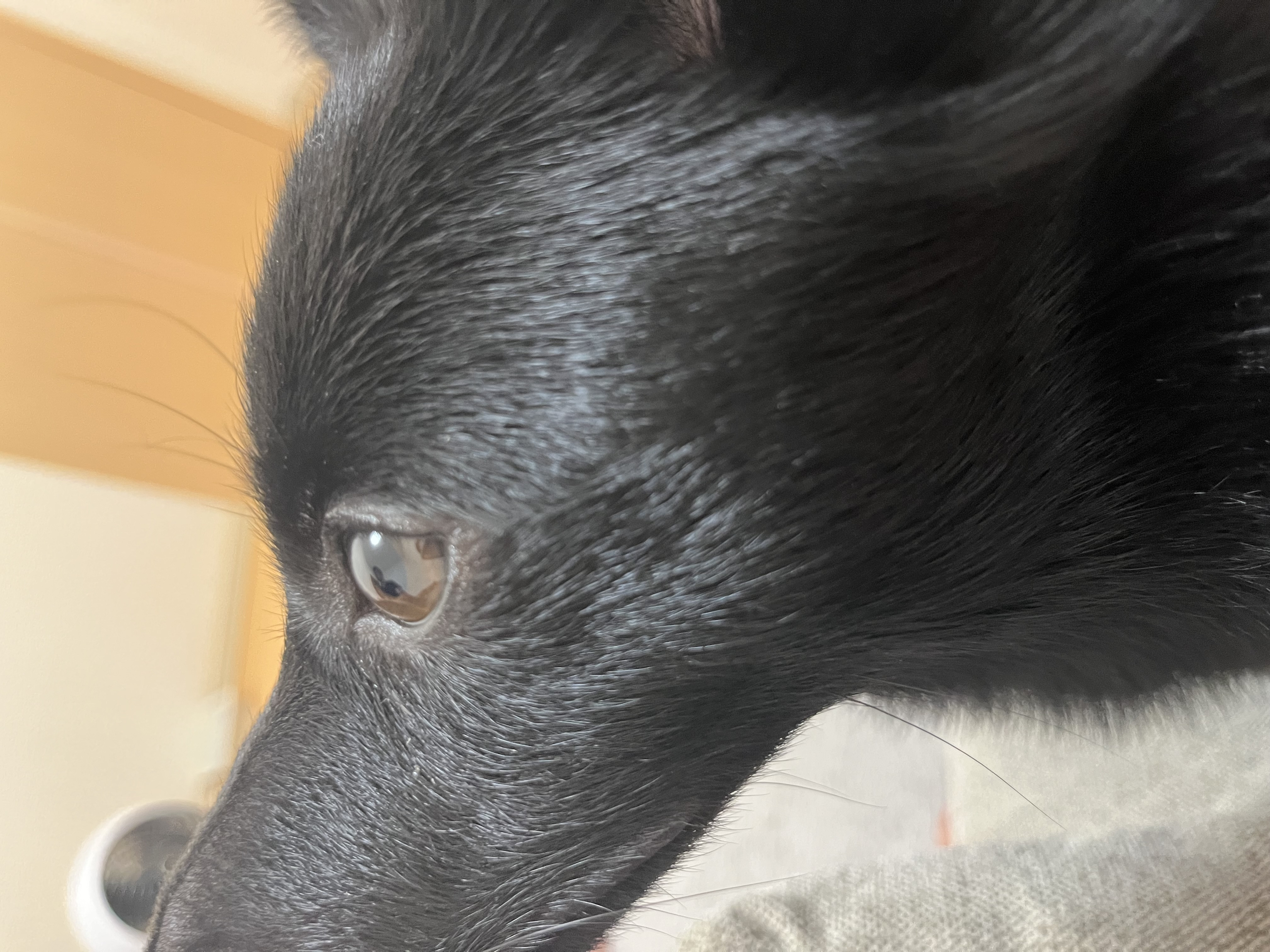 6/29(木)、体調第一