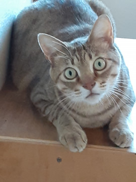 はじめまして?