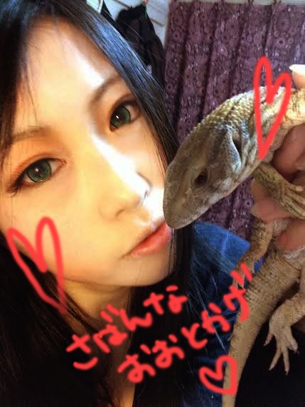 犬派？猫派？トカゲ派