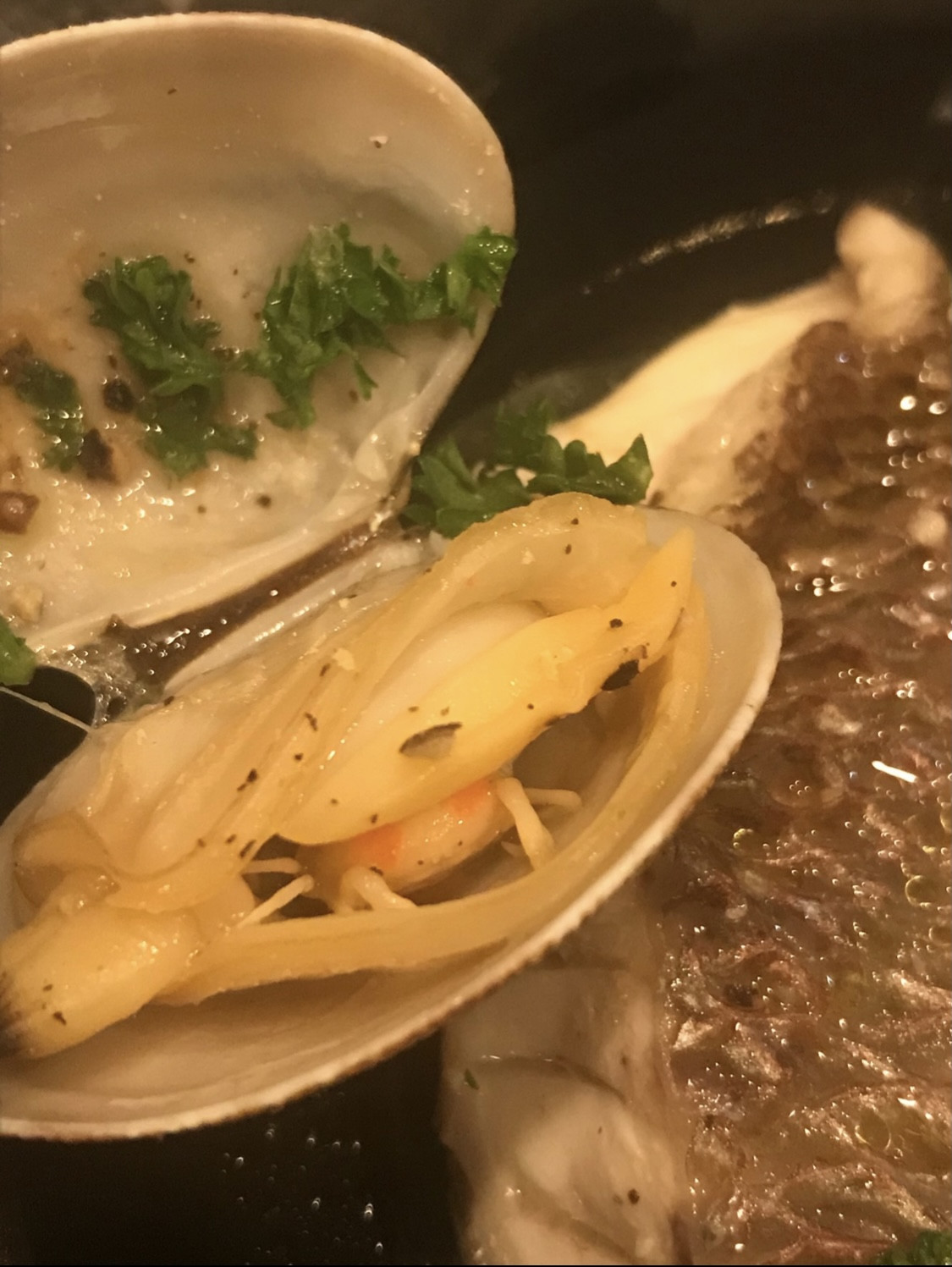 あけましておめでとうございます