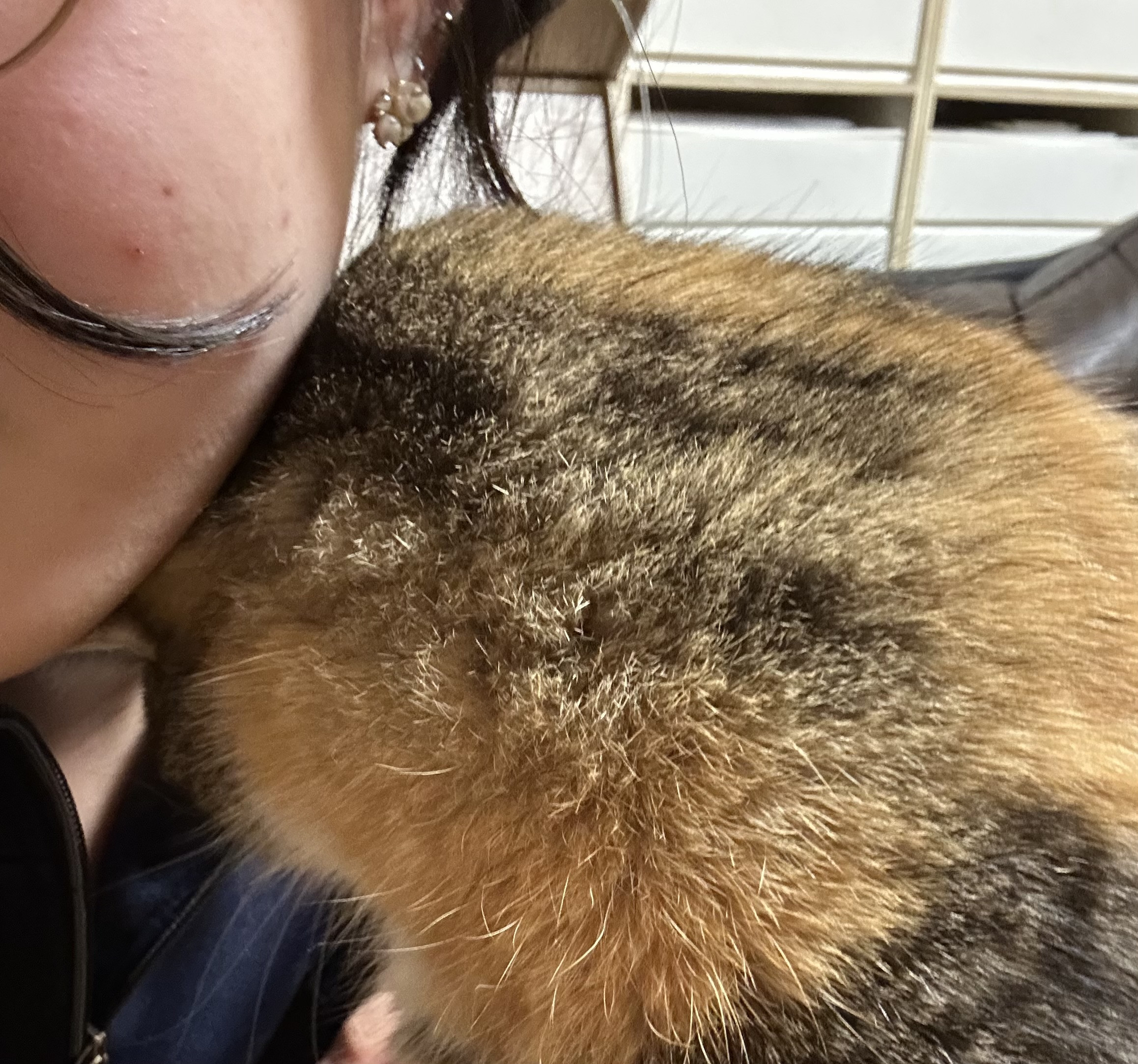 最近暖かいですね??