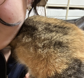 陽ちゃんの2023/4/8 (土) 12:10のブログ