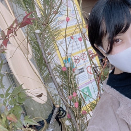 お正月やすみ