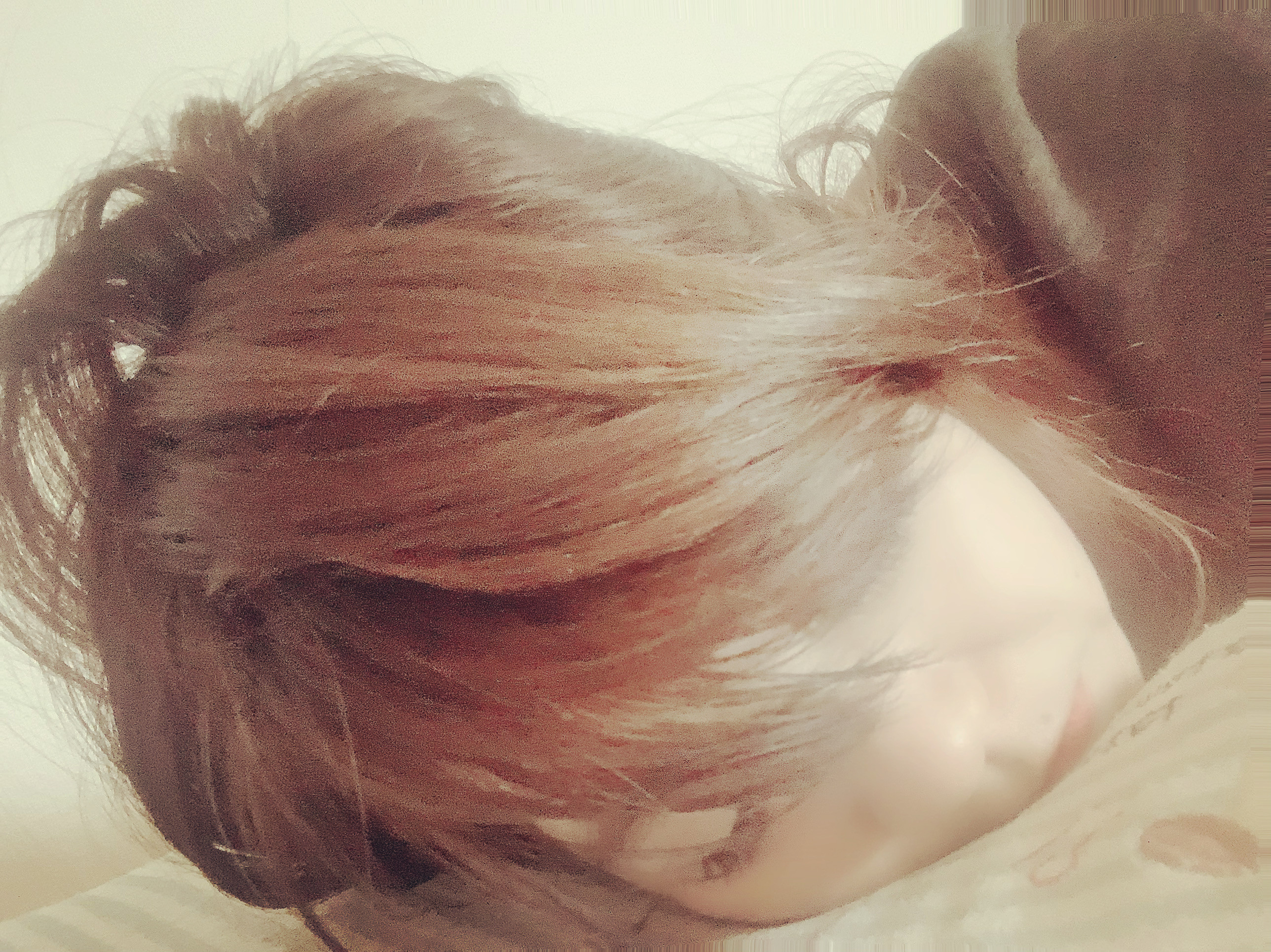 おはようございます??