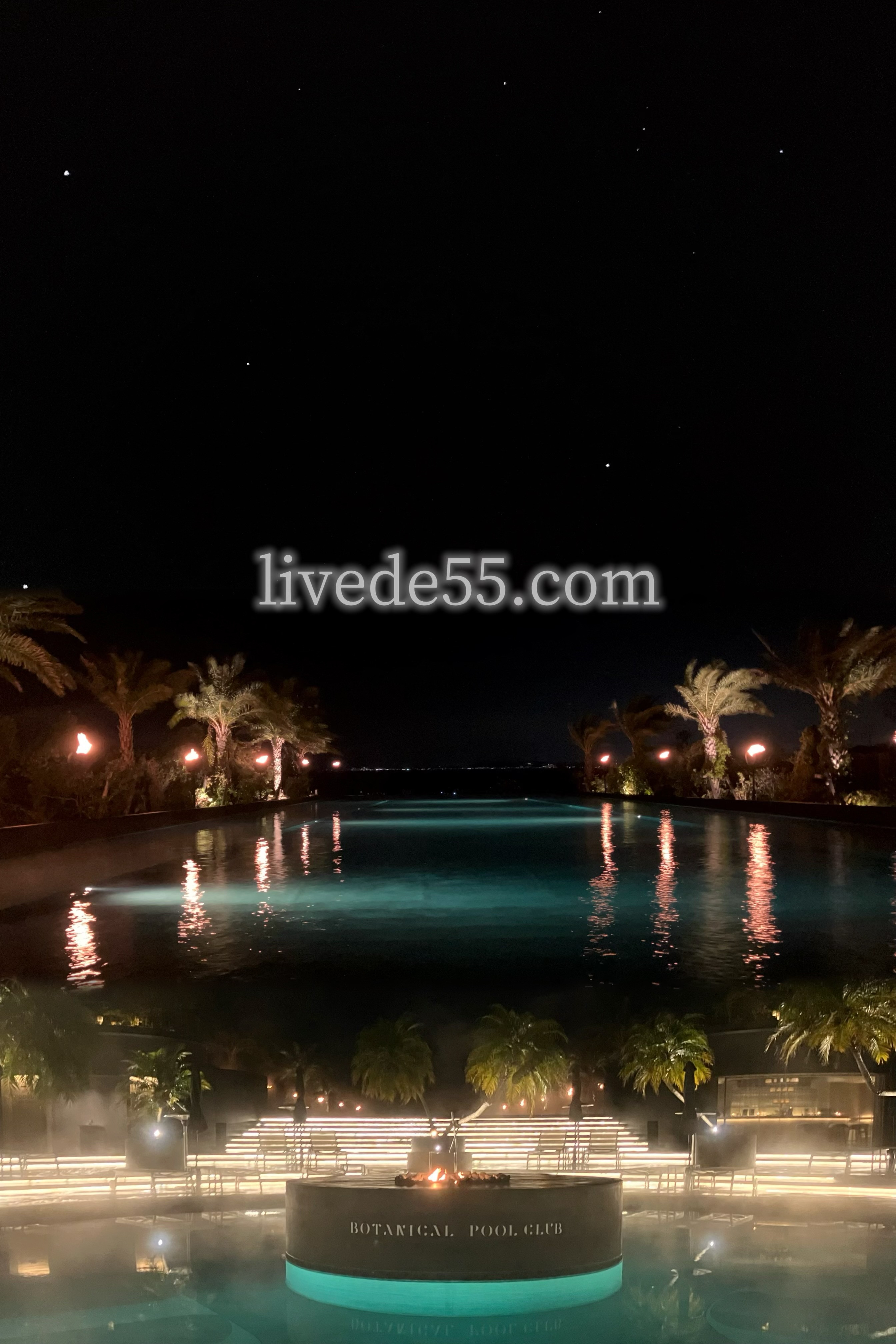 ふたご座流星群を目撃した話