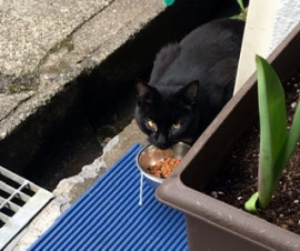 ほしちゃんの2022/3/12 (土) 22:03のブログ