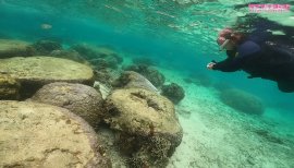 綾ちゃんの2022/3/30 (水) 00:51のブログ