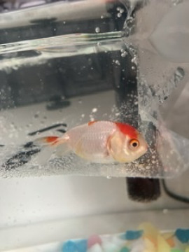 初めまして！！