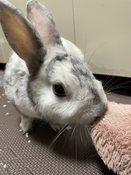 癒し(*^^*)