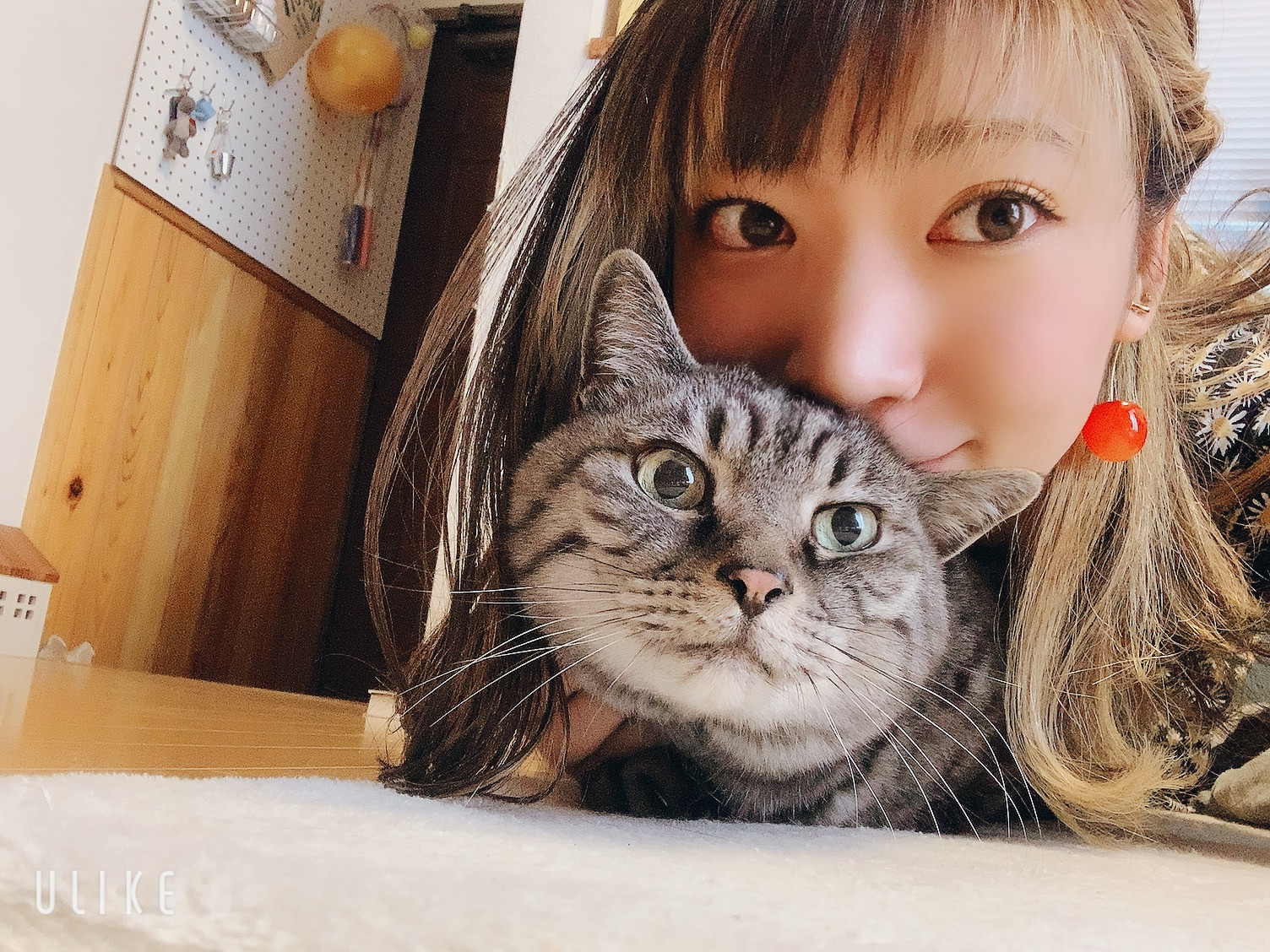 いびちゃちゃんの2022/4/19 (火) 23:54のブログ