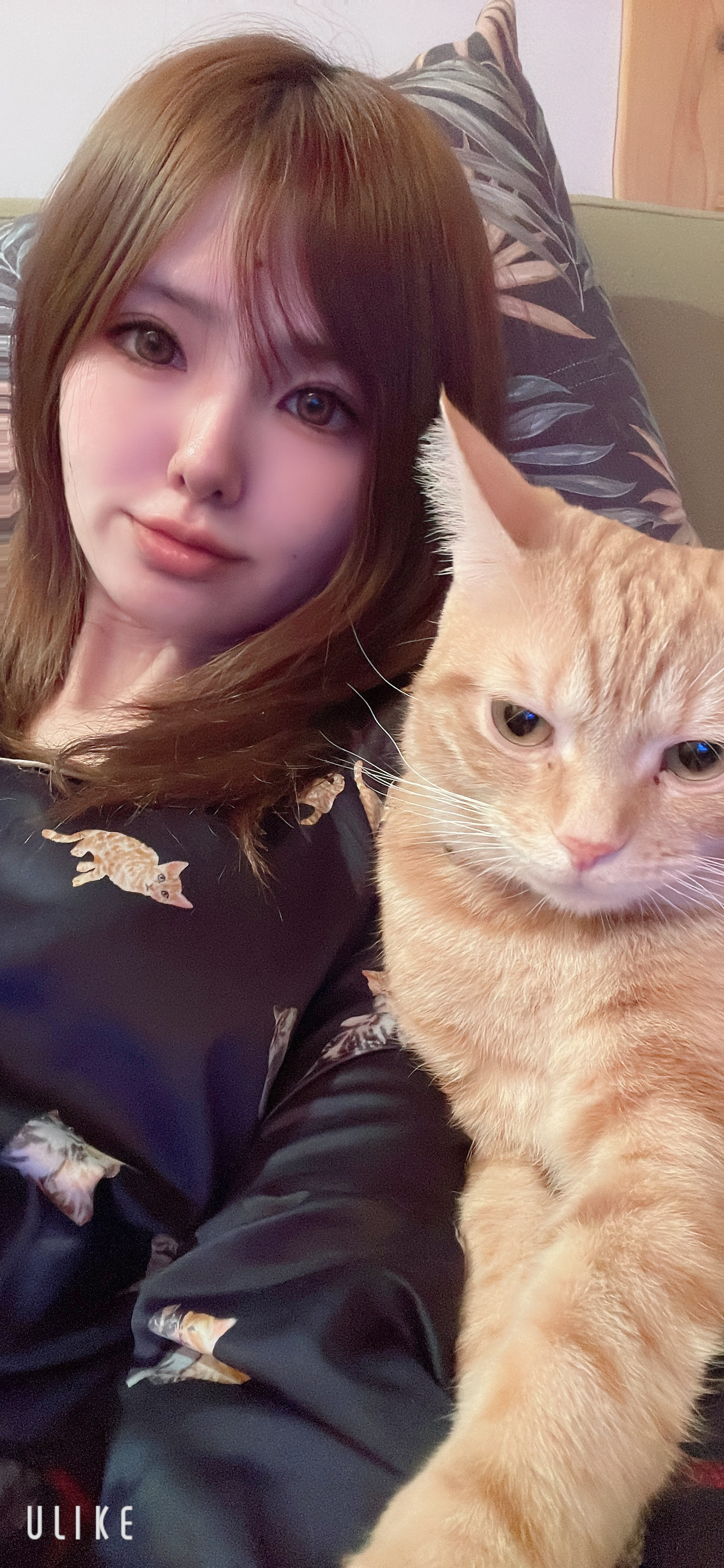 なつやでヽ(｡ゝω・｡)ﾉ