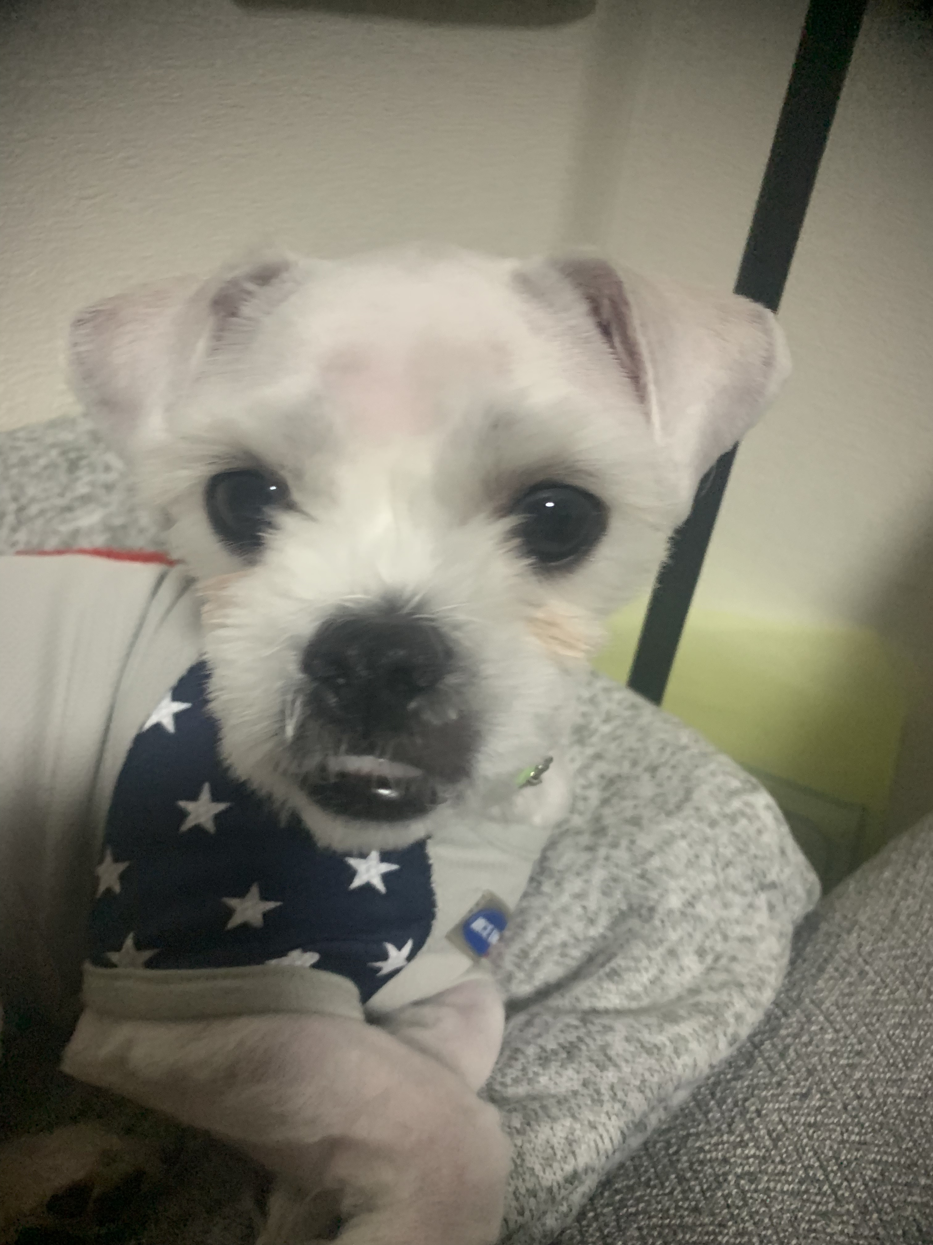 はじめまして！