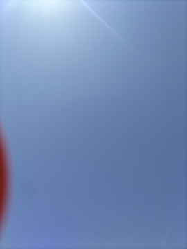 すみれちゃんの2022/5/29 (日) 16:58のブログ