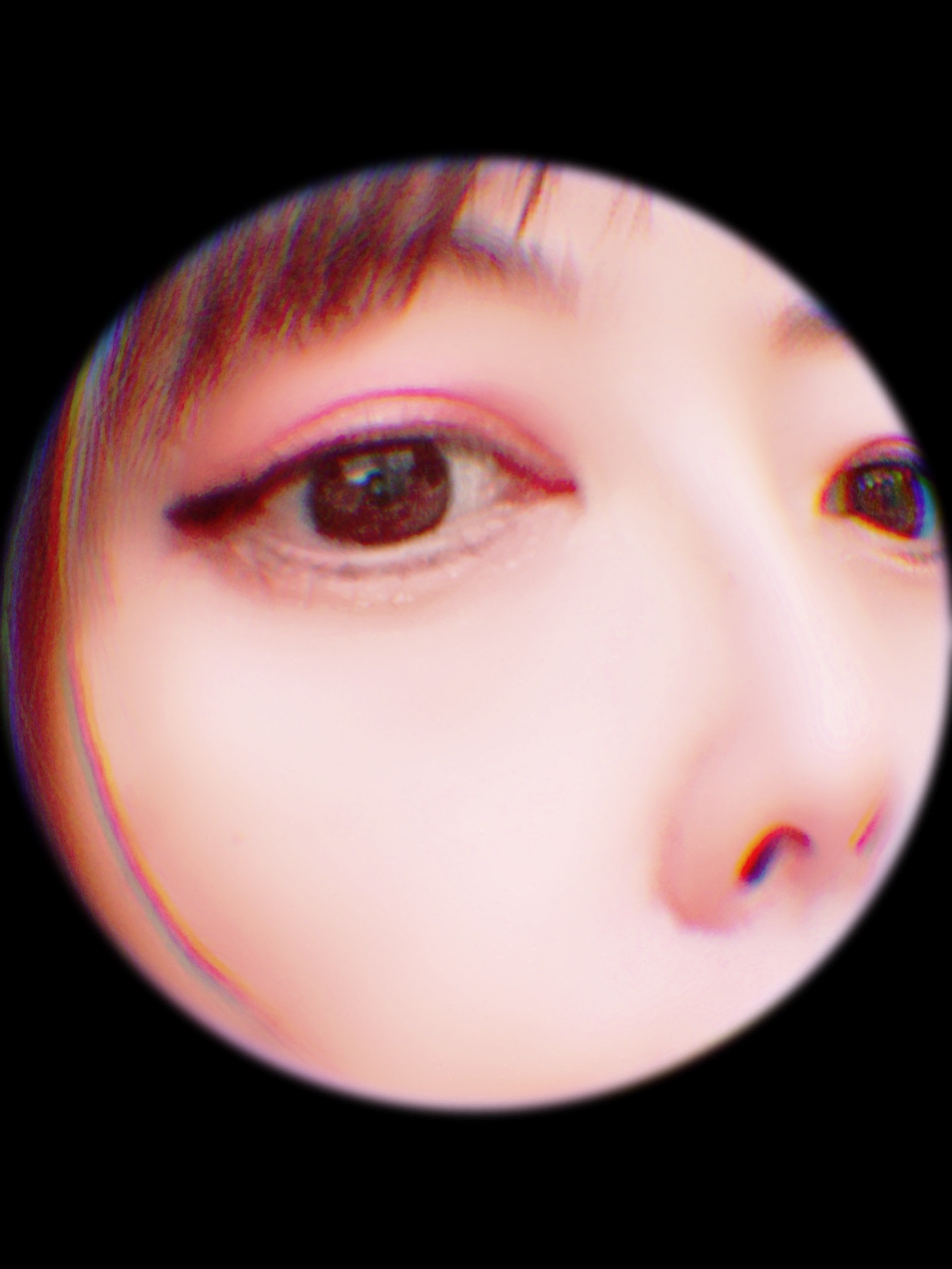 出て来なさい！そこにいるんでしょ！