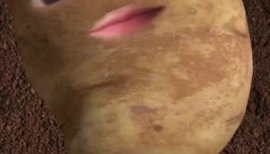 らんらんちゃんの2022/7/11 (月) 11:05のブログ