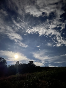 ちょっと私のこと