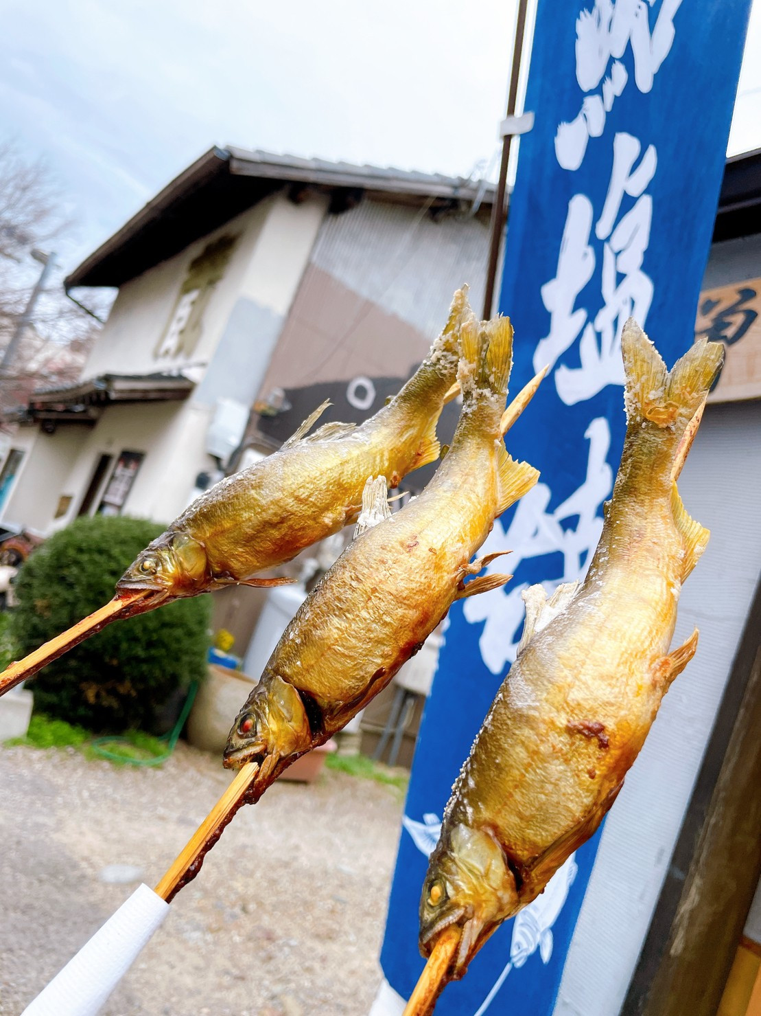アユが美味しかった、、?