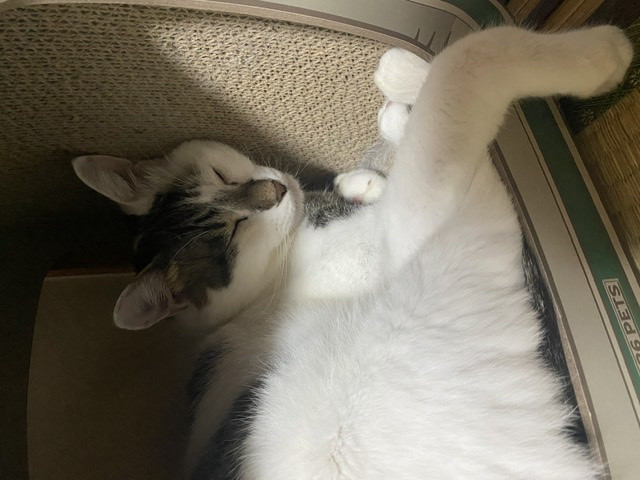メイ💎ちゃんの2022/8/2 (火) 23:54のブログ