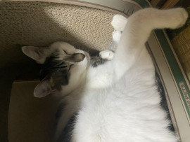 ご報告〜〜！！！