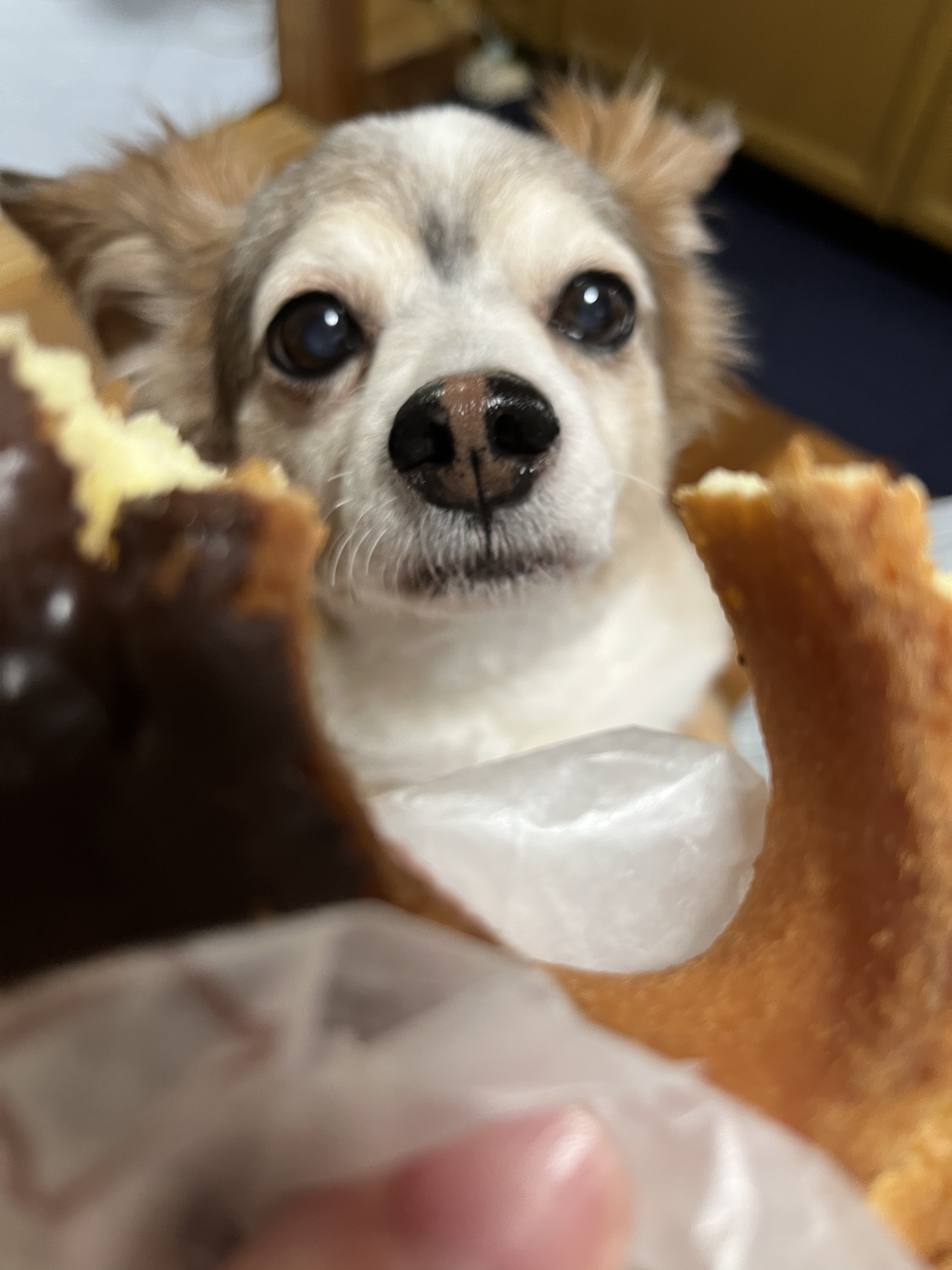 7月ありがとうだかんな！