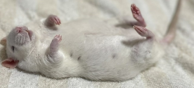 今日は月曜日