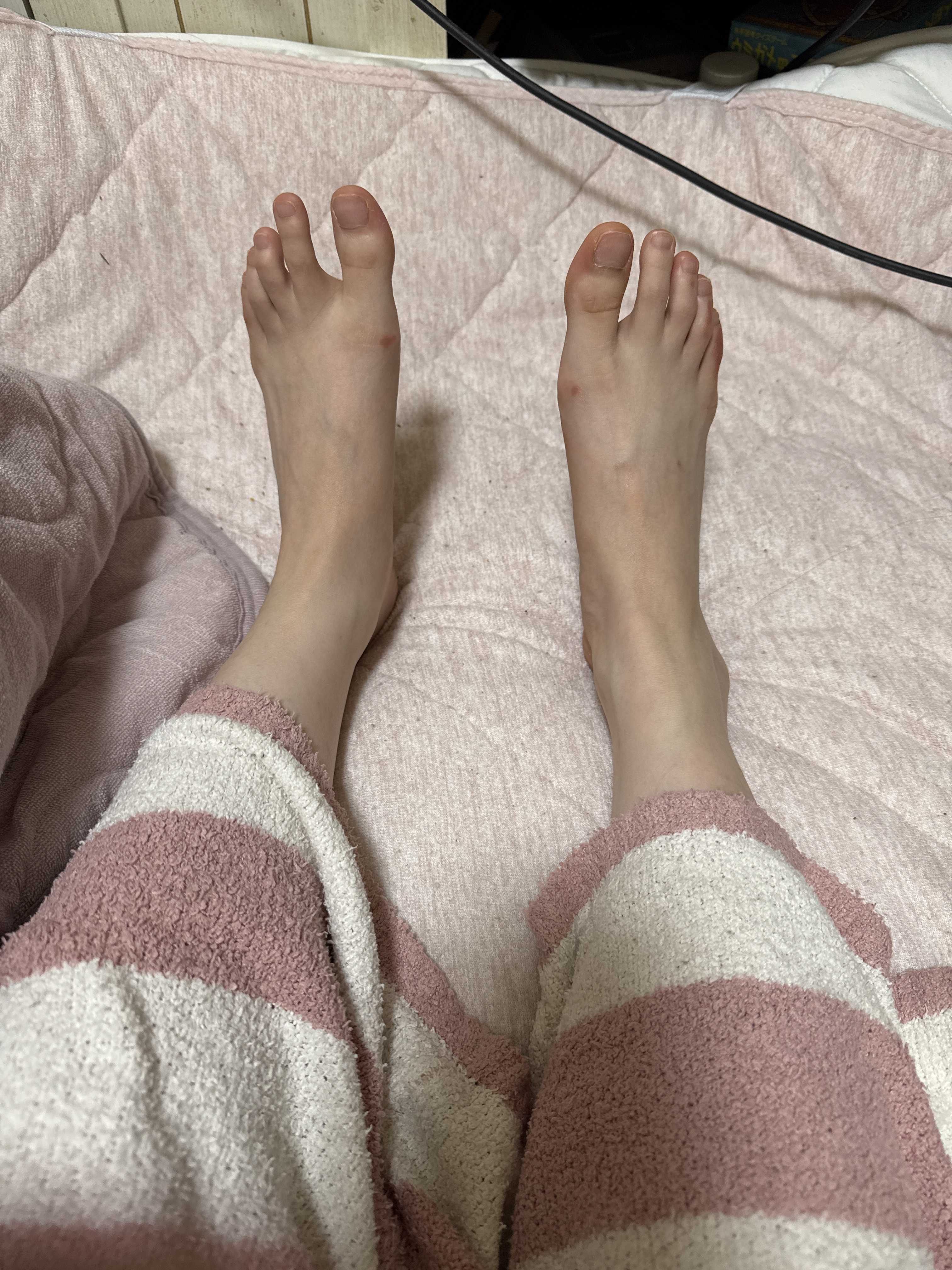 久々にブログを…