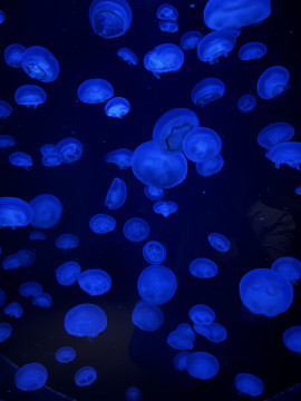 このちゃんの2022/8/12 (金) 15:52のブログ