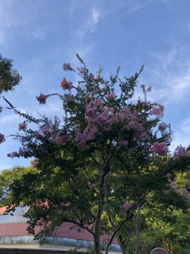 リナちゃんの2022/9/2 (金) 21:14のブログ