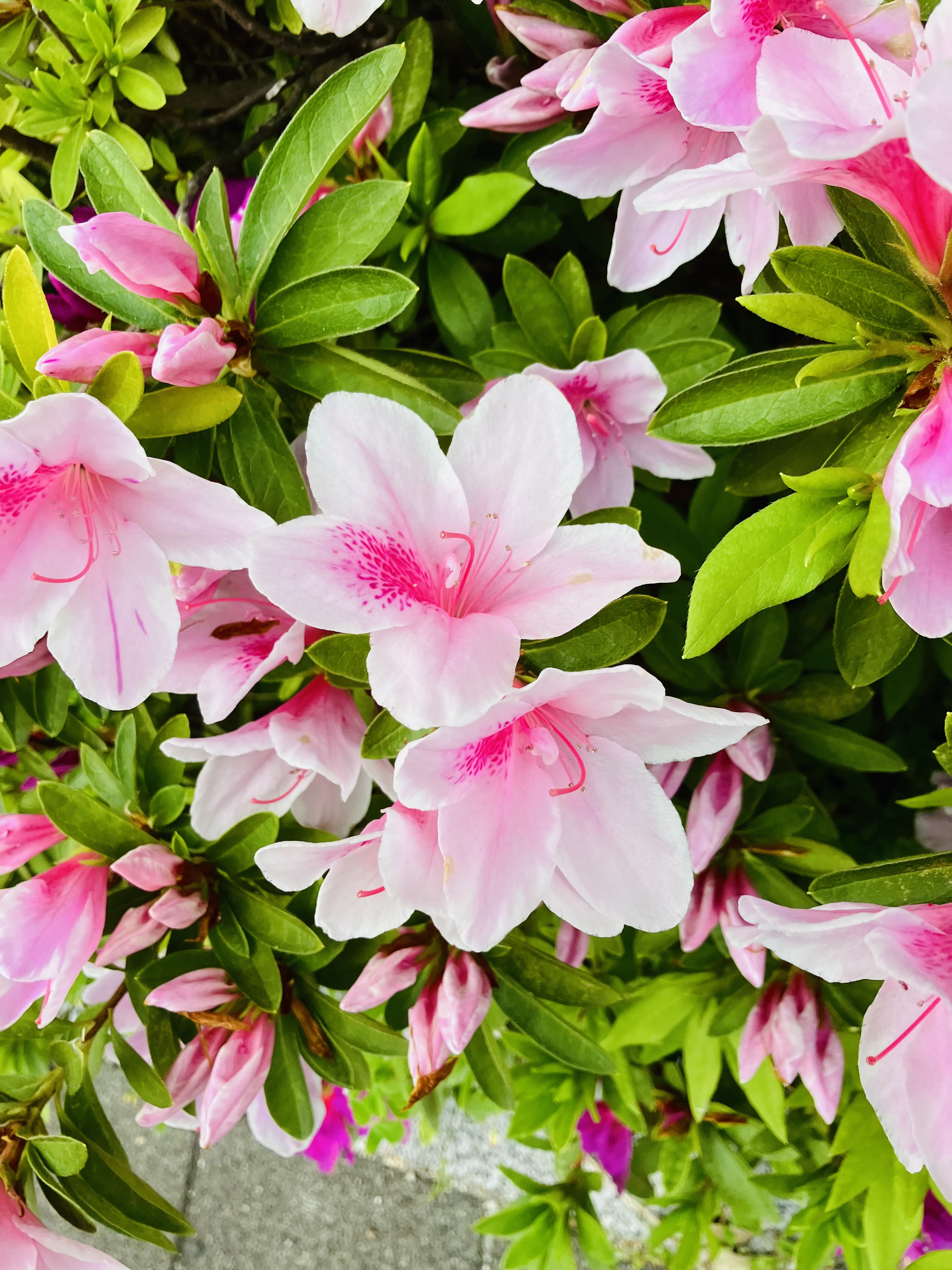 退勤！！！！　お礼！！！！！！