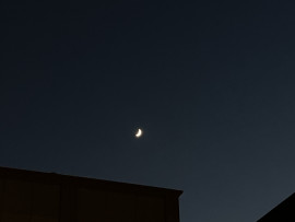 あもんちゃんの2022/11/28 (月) 23:08のブログ