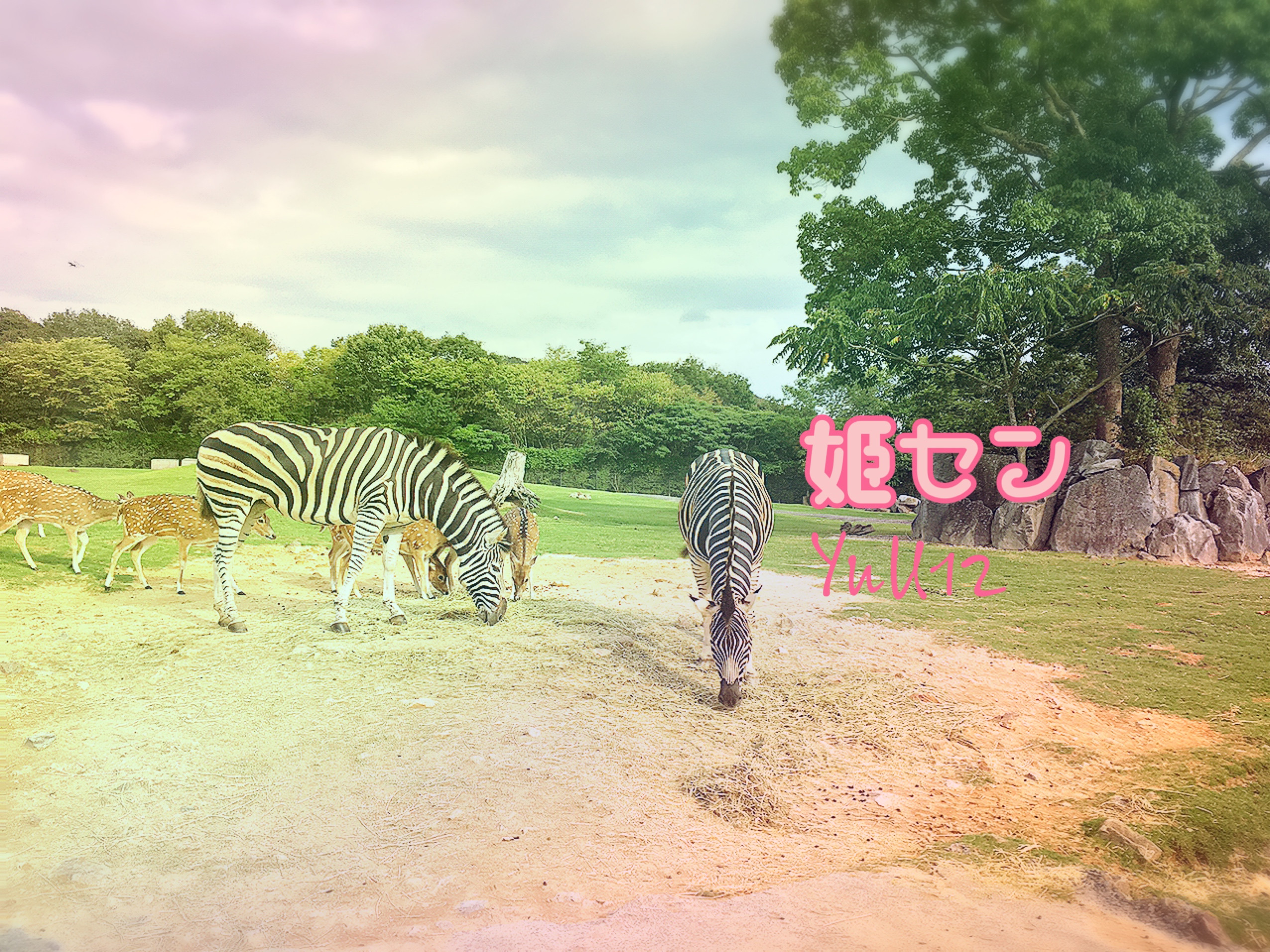 ゆう12ちゃんの2022/9/24 (土) 17:51のブログ