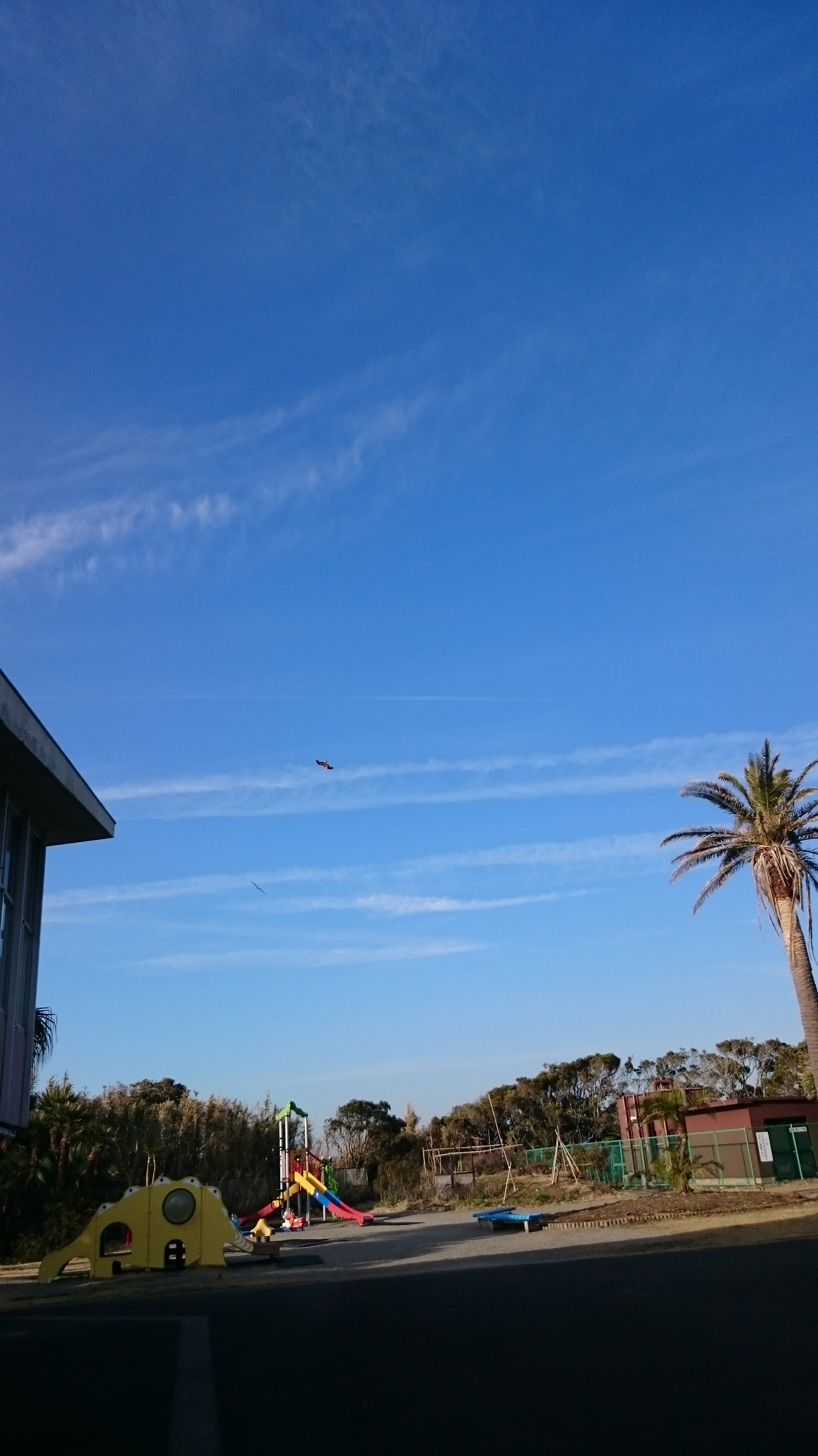 9月はみなさんに感謝です<m(__)