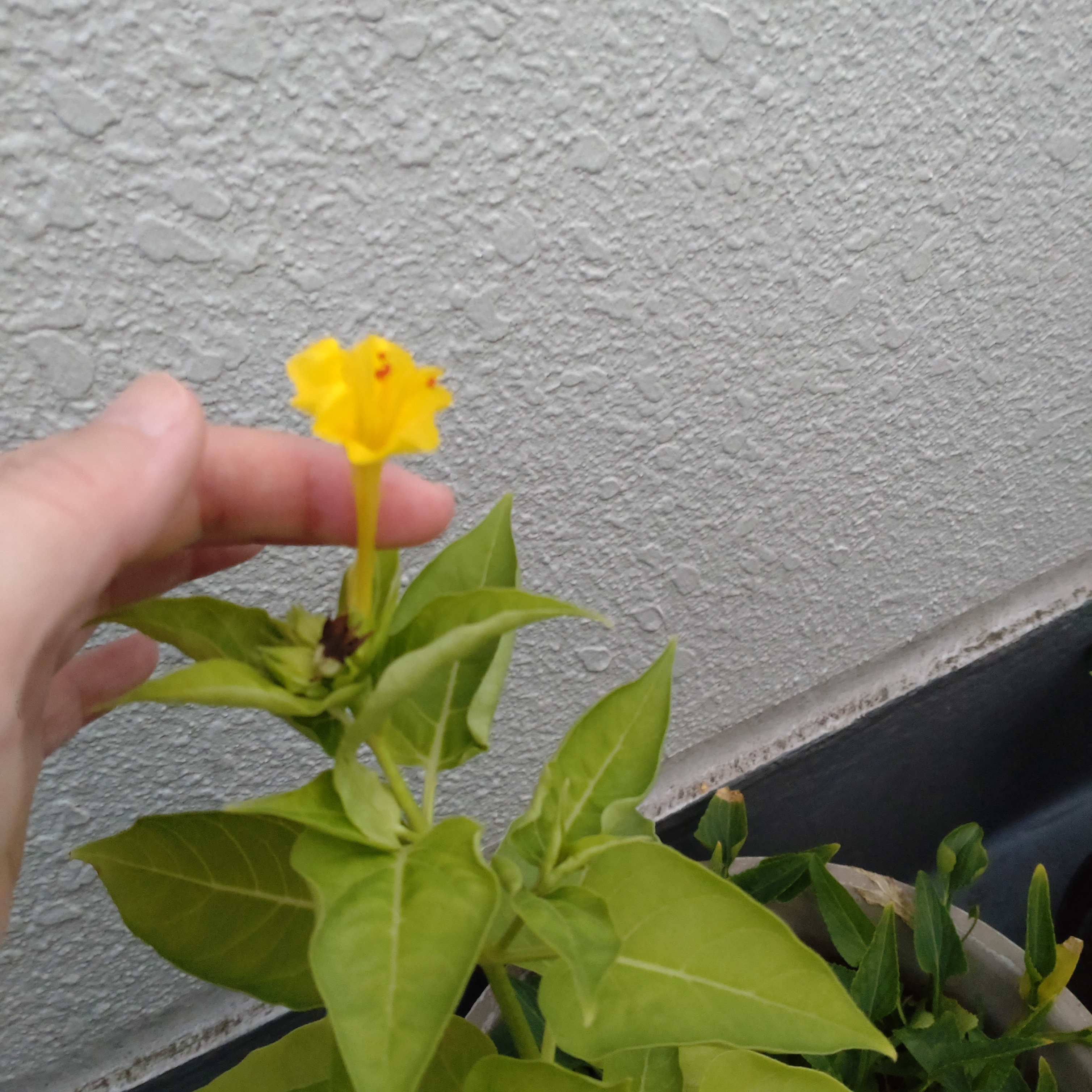 誕生月の3月に皆様に感謝です