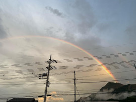 虹(^^♪