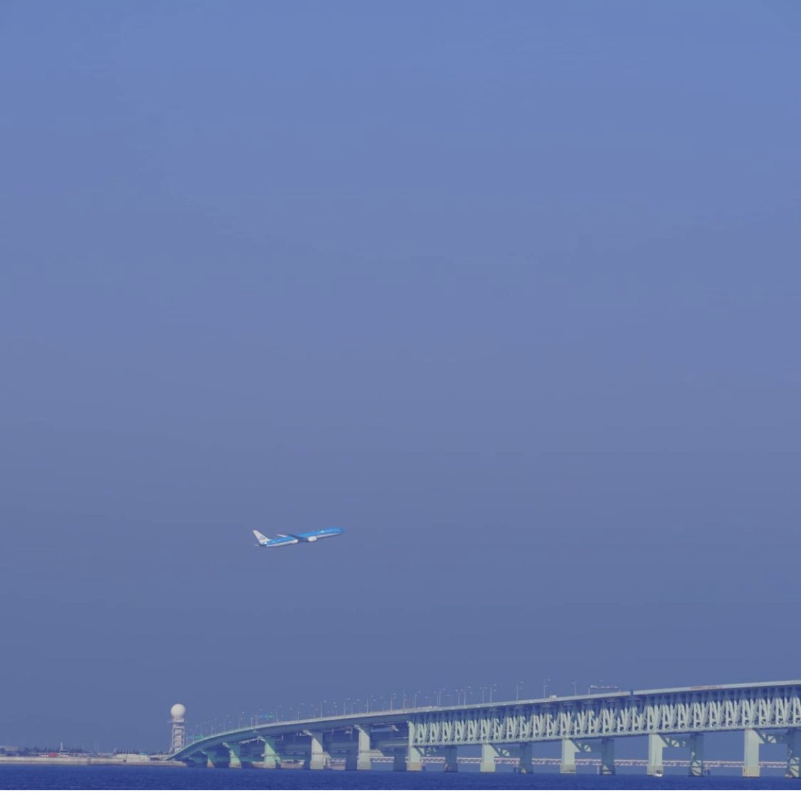 おはようございます????