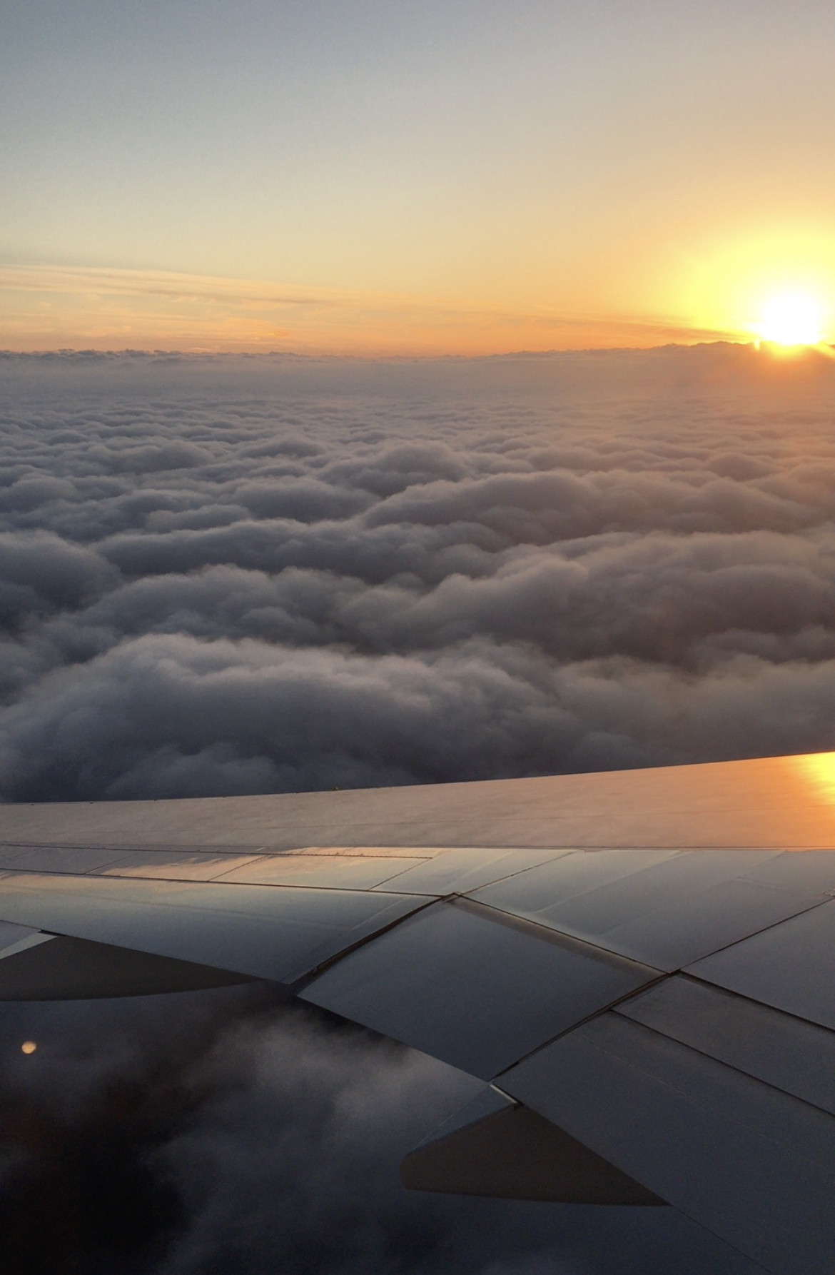 おはようございます??