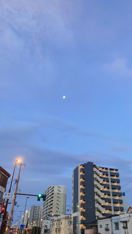 あーちゃんちゃんの2022/9/24 (土) 09:37のブログ